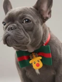 Royal Rudolph Premium Yılbaşı Köpek Papyonu | Limited Edition Luxe Aksesuar | Orta & Büyük Irklar İçin thumbnail 2