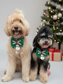Kardan Adam Köpek Papyon Tasması |  Yeşil Kırmızı Fiyonk Boyun Aksesuarı | Noel Temalı Köpek Süsü | Orta ve Büyük Irklar İçin thumbnail 6