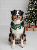 Kardan Adam Köpek Papyon Tasması |  Yeşil Kırmızı Fiyonk Boyun Aksesuarı | Noel Temalı Köpek Süsü | Orta ve Büyük Irklar İçin thumbnail 5