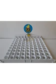 81'lik Otomatik Kuluçka Gelişim Viyolü 46,5x53,5x13,5 thumbnail 1