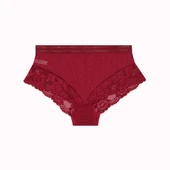 Büyük Beden Dantelli Tül Detaylı Lastikli Yüksek Bel Kadın Külot thumbnail 1