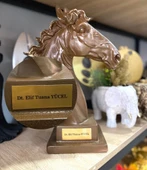 Kişiye Özel İsim Veya Markanızı Yazılabilir Dekoratif At Kafası Büst Büyük Boy Heykeli Kaideli thumbnail 2