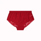 Büyük Beden Dantelli Tül Detaylı Lastikli Yüksek Bel Kadın Külot thumbnail 1