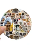 Sticker Seti (Çılgın Kediler Macbook Notebook Tablet Telefon Ajanda Laptop Defter) thumbnail 5