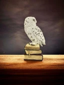 Luxxi Kitap Üstünde Kar Baykuşu Veronese - OFİS VE HEDİYELİK MASAÜSTÜ DEKOROTİF ÜRÜNLER VE AKSESUARLAR thumbnail 1