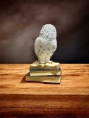 Luxxi Kitap Üstünde Kar Baykuşu Veronese - OFİS VE HEDİYELİK MASAÜSTÜ DEKOROTİF ÜRÜNLER VE AKSESUARLAR thumbnail 2