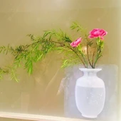 Yapışkan Vazo - Sihirli Vazo thumbnail 3