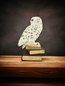 Luxxi Kitap Üstünde Kar Baykuşu Veronese - OFİS VE HEDİYELİK MASAÜSTÜ DEKOROTİF ÜRÜNLER VE AKSESUARLAR thumbnail 4