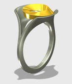 Byr Yüzük (Sadece Plastik Aparattır!!!) 3D thumbnail 2