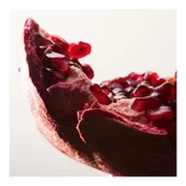 Bottega Veneta Parco Palladiano XIV Melagrana Edp 100 Ml Unisex Parfüm thumbnail 4