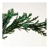 Bottega Veneta Parco Palladiano II Cipresso Edp 100 Ml Unisex Parfüm thumbnail 4