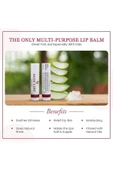 Forever Living Forever Aloe Lips 12 Adet thumbnail 4