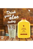 Forever Living Forever Aloe Vera Gel -1 Adet thumbnail 1