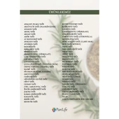 Panlife Tamanu Yağı 100 ml thumbnail 8