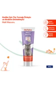 BioFeline kediler için malt macun 100 g thumbnail 1