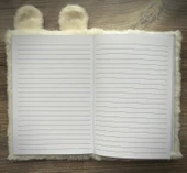 Tüylü Defter thumbnail 2