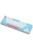 R10 Mekanik Klavye Full Anti-Ghosting Hot Swap Blue Switch Oyuncu Klavyesi (Türkçe) Buz Mavisi Işık thumbnail 5