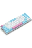 R10 Mekanik Klavye Full Anti-Ghosting Hot Swap Blue Switch Oyuncu Klavyesi (Türkçe) Buz Mavisi Işık thumbnail 8
