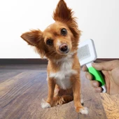 Kedi Köpek Telli Küçük Boy Tüy Bakım Seti Evcil Hayvan Tarama Fırçası (5314) thumbnail 5