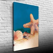 Deniz Yıldızı ve İstiridye Kanvas Tablo 50 x 70 thumbnail 1