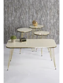 Zigon Sehpa Ve Orta Sehpa Kr Set Çift Gold Krem Tel Ayak thumbnail 1