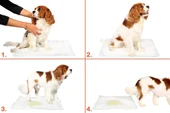 Yıkanabilir Köpek Çiş Pedi - 90 X 60 Cm 5li Paket thumbnail 2