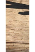 BİŞKİN 1.5m X 5m Bambu Kamış Bahçe , Dekorasyon , Misina Ipli , Balkon , Veranda, Mahremiyet Çiti thumbnail 1