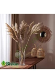 Bolvadi 20 Adet Kuru Çiçek Doğal Pampas Dekoratif Ürün thumbnail 1