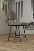 Retodesign 2 Adet Stil  Mutfak ve Salon Sandalyesi 12602 thumbnail 3