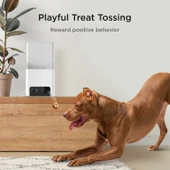 Petcube Bites 2 Lite WiFi Evcil Hayvan İzleme Kamerası - Otomatik Mama Kabı thumbnail 3