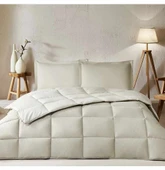 Özdilek %100 Pamuk (Çarşafı Lastikli) Çift Kişilik Yatak Seti-Colourist Kum Beji Vanilya thumbnail 2