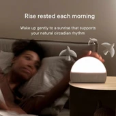 Hatch Restore 2 Gündoğumu Çalar Saat, Ses Makinesi, Akıllı Işık - Macun Rengi thumbnail 4