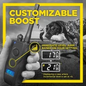 Dogtra 1900S Black Güçlendirme ve Kilitleme E-Yaka Uzaktan Köpek Eğitmeni thumbnail 4