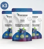3'lü Paket Dondurularak Kurutulmuş Yaban Mersini (Freeze Dried Yaban Mersini 3x20 gr thumbnail 1