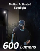 eufy Security SoloCam L40, Kablosuz Spot Işığı Kamerası thumbnail 2