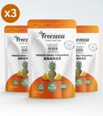 3'lü Paket Dondurularak Kurutulmuş Ananas (Freeze Dried Ananas) Freeze Dry Ananas Kurusu 3x20 gr thumbnail 1