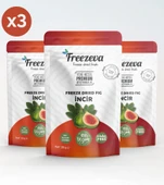3'lü Paket Dondurularak Kurutulmuş İncir (Freeze Dried İncir) Freeze Dry İncir Kurusu 3x25 gr thumbnail 1
