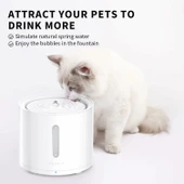 PETKIT EVERSWEET Solo 2 Köpek Kedi Kablosuz Pompalı Su Çeşmesi thumbnail 2