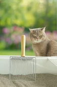 Kedi Metal Kum Temizleme Küreği thumbnail 3