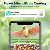 Peckcam Akıllı Kuş Yemliği, Kamera, 2K Canlı Gerçek Zamanlı Uyarı - Yeşil thumbnail 4