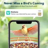 Peckcam Akıllı Kuş Yemliği, Kamera, 2K Canlı Gerçek Zamanlı Uyarı - Turuncu thumbnail 4