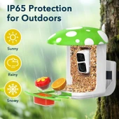 Peckcam Akıllı Kuş Yemliği, Kamera, 2K Canlı Gerçek Zamanlı Uyarı - Yeşil thumbnail 2
