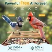 BirdLegend BL01 Kameralı Kuş Yemliği Güneş Enerjili - Kırmızı thumbnail 3