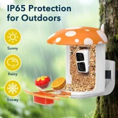 Peckcam Akıllı Kuş Yemliği, Kamera, 2K Canlı Gerçek Zamanlı Uyarı - Turuncu thumbnail 2