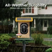 Heapets Kamera, Güneş Enerjili 2K HD Video - Sarı thumbnail 2