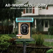 Heapets Kamera, Güneş Enerjili 2K HD Video - Nane Mavisi thumbnail 2