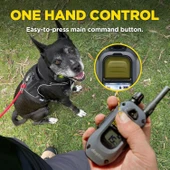 Dogtra 280X E-Tasma Uzaktan Kumandalı 2 Köpek Eğitim 1/2 Mil, 4,5 kg thumbnail 4