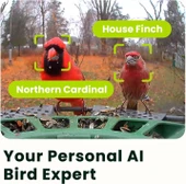 Birdfy 2 Akıllı Kuş Yemliği, Kamera, AI ile Kuş Türlerini Tanımlama 2 Kamera thumbnail 6