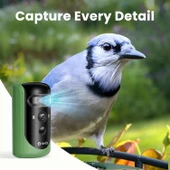 Birdfy 2 Akıllı Kuş Yemliği, Kamera, AI ile Kuş Türlerini Tanımlama 2 Kamera thumbnail 5