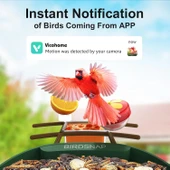 BirdSnap PAV - Akıllı Kuş Yemliği, Güneş Enerjili Kamera 2K HD - Koyu Yeşil thumbnail 4